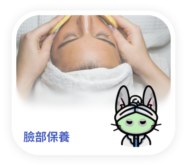 臉部保養